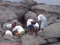 tidepools