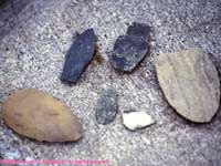 spear points