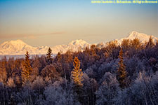 morning alpenglow