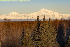 Alaska Range