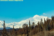 Denali