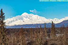 Denali