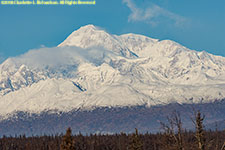 Denali