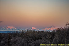 morning alpenglow on the Alaska Range