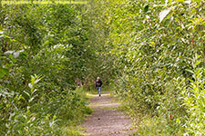 Paul on trail