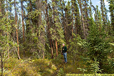 Paul on trail