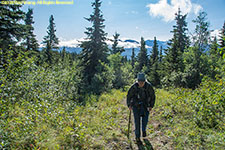 Charlotte on trail