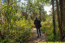 Paul on trail