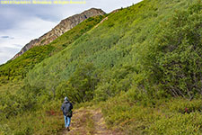 Paul on trail