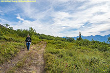 Charlotte on trail