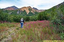 Charlotte on trail