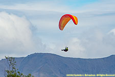 parasail