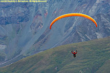 parasail