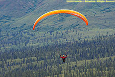 parasail