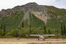 Maule on landing strip