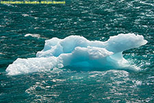 iceberg