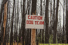 dog team sign