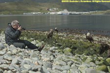 Paul photographing bald ealges