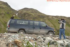 bald eagle on the van