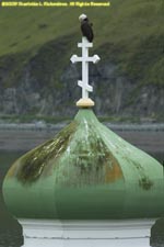 eagle perched on church cross