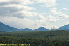 Denali view