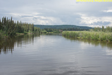 Chena River