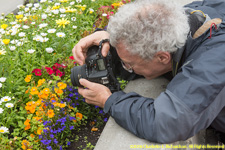 Paul photographing flowers
