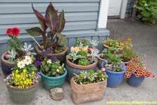 flower pots