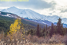 mountains