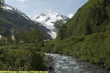 glacier and stream