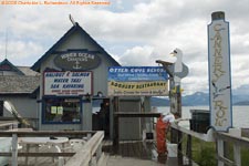 Homer Spit