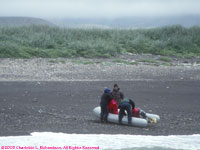 loading the Zodiac on the beach at Nunavachak