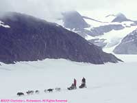 dogsledding on the Juneau ice field