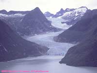 tide water glacier