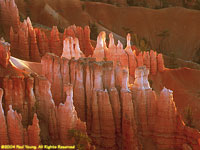 sunrise on hoodoos