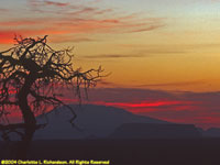 sunrise over Navajo Mountain