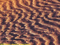 sand ripples