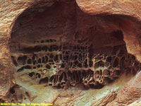 erosion cells in sandstone