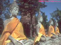 Buddhas