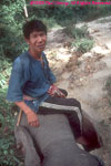 mahout on elehant head