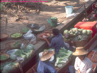 floating market