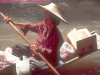 shopping boat lady